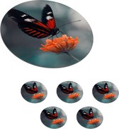 Sous-verres pour verres - Ronds - Papillon - Fleurs - Insecte - 10x10 cm - Sous-verres - 6 pièces