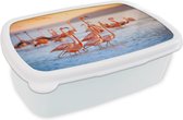 Broodtrommel Wit - Lunchbox - Brooddoos - Flamingo - Dieren - Water - Roze - 18x12x6 cm - Volwassenen