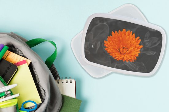 Sac à dos gris avec une boîte à pain blanche ornée d'une fleur orange sur le couvercle, à côté de fournitures scolaires.