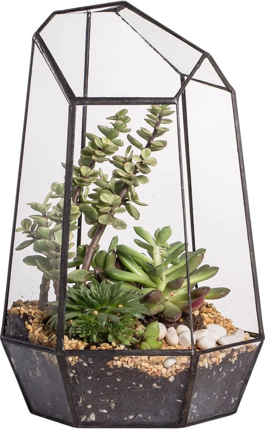 NCYP Handgemaakt 25cm geometrisch glazen terrarium voor succulente luchtplanten varenmosbloem, moderne tuin onregelmatige prisma glazen plantenpot,…