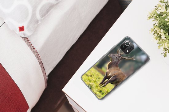 Coque Xiaomi 11T - Red Deer - Pâturage - Vert - Coque de téléphone en Siliconen
