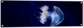 WallClassics - Tuinposter – Witte Kwal onder Blauw Water - 120x40 cm Foto op Tuinposter  (wanddecoratie voor buiten en binnen)
