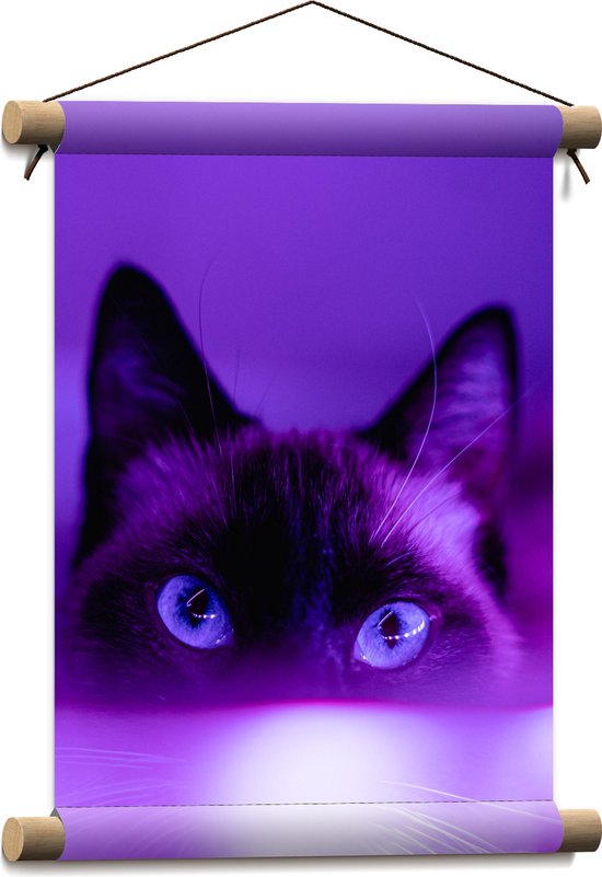 WallClassics - Textielposter - Zwarte Kat in het Paarse Licht - 30x40 cm Foto op Textiel