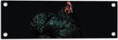 WallClassics - Tuinposter – Zwarte Kip met Donkere Achtergrond - 60x20 cm Foto op Tuinposter  (wanddecoratie voor buiten en binnen)