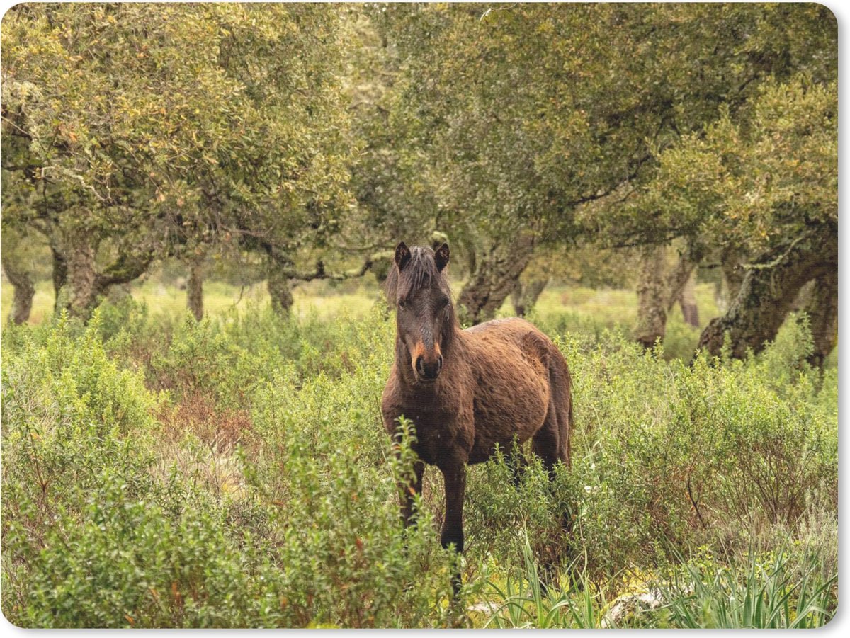 Muismat Paarden - Wild paard in een bos muismat rubber - 23x19 cm - Muismat met foto