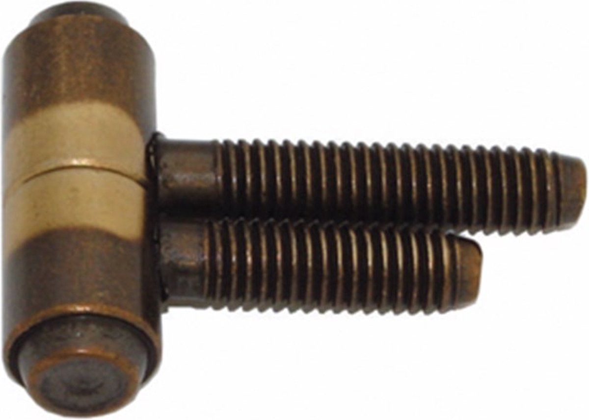 Inboorpaumelle vz diam 13mm
