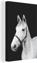 Cheval Wit sur fond noir toile 2cm 120x180 cm - Tirage photo sur Toile (Décoration murale salon / chambre) / Animaux de la ferme Peintures sur toile XXL / Groot format!