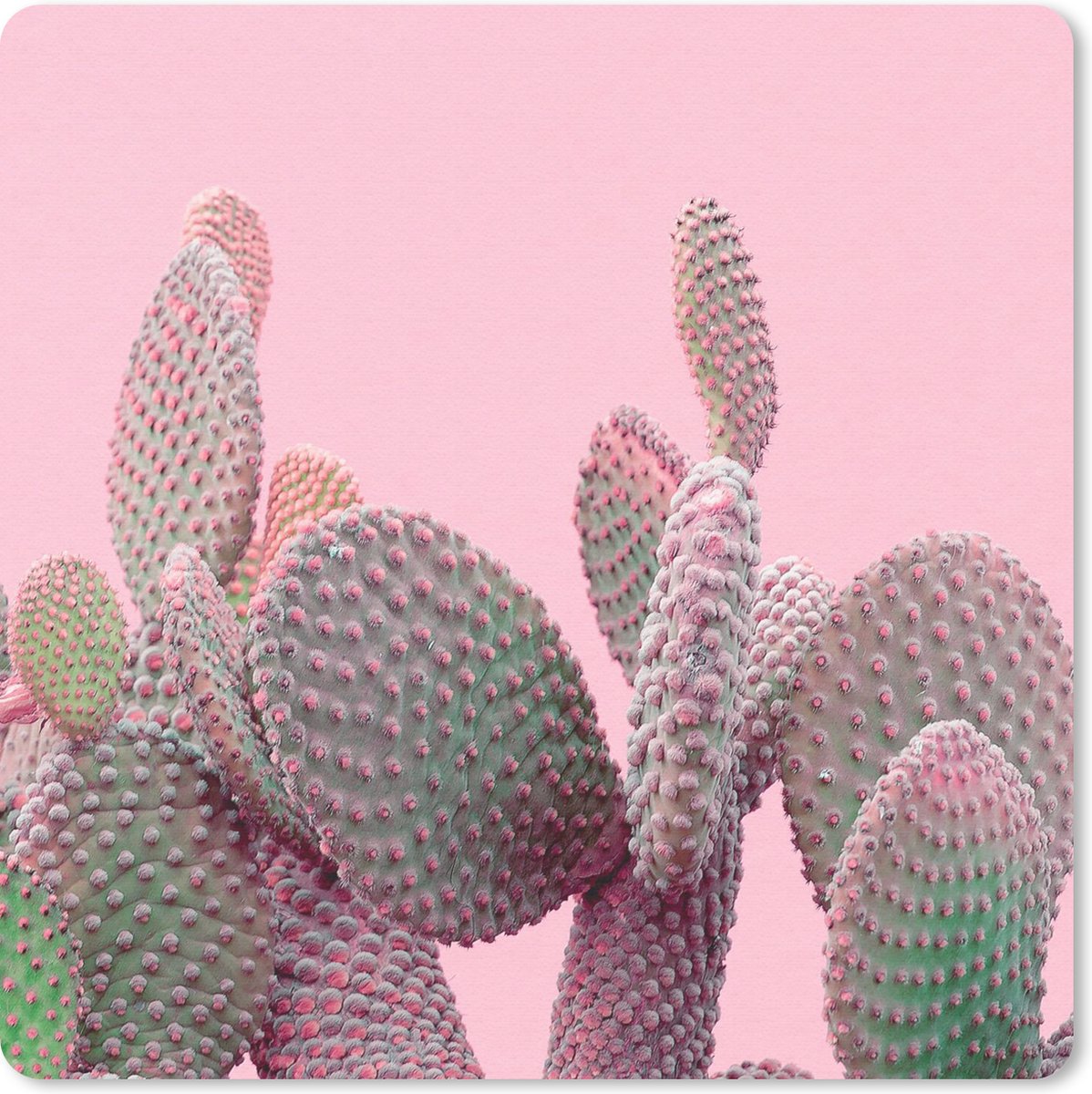 Muismat 30x30 cm - Mousepad Cactus - Planten - Zomer - Muismatten