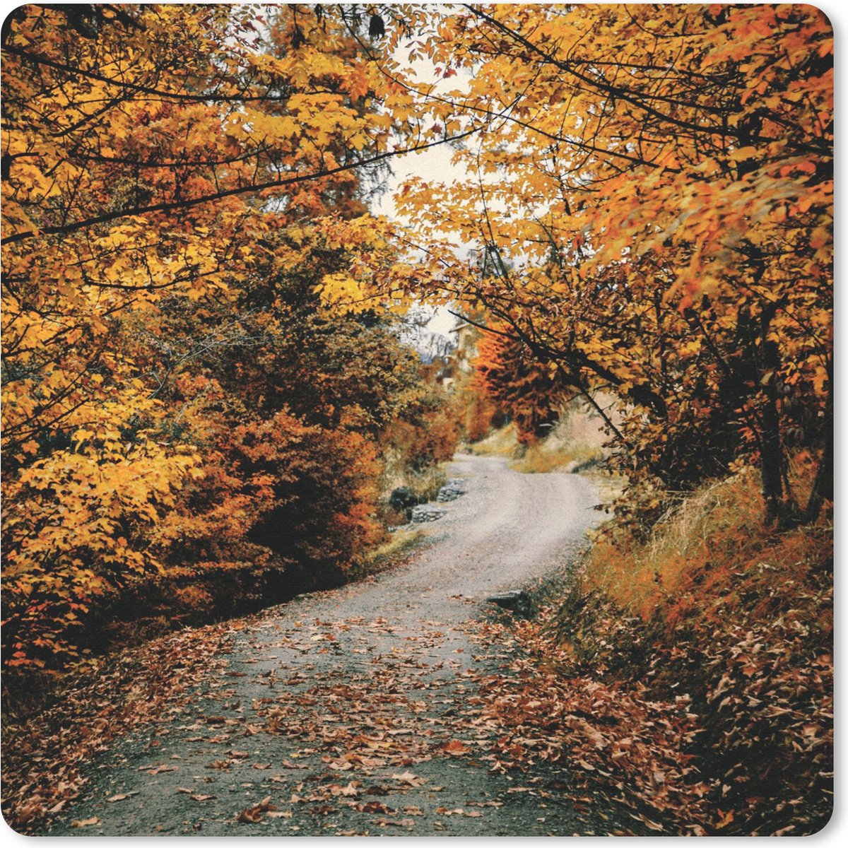 Muismat 30x30 cm - Mousepad Herfstbos - Pad - Bladeren - Landelijk - Muismatten