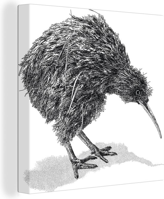 Canvas Schilderij Illustratie van een kiwi vogel in zwart-wit - 90x90 cm - Wanddecoratie