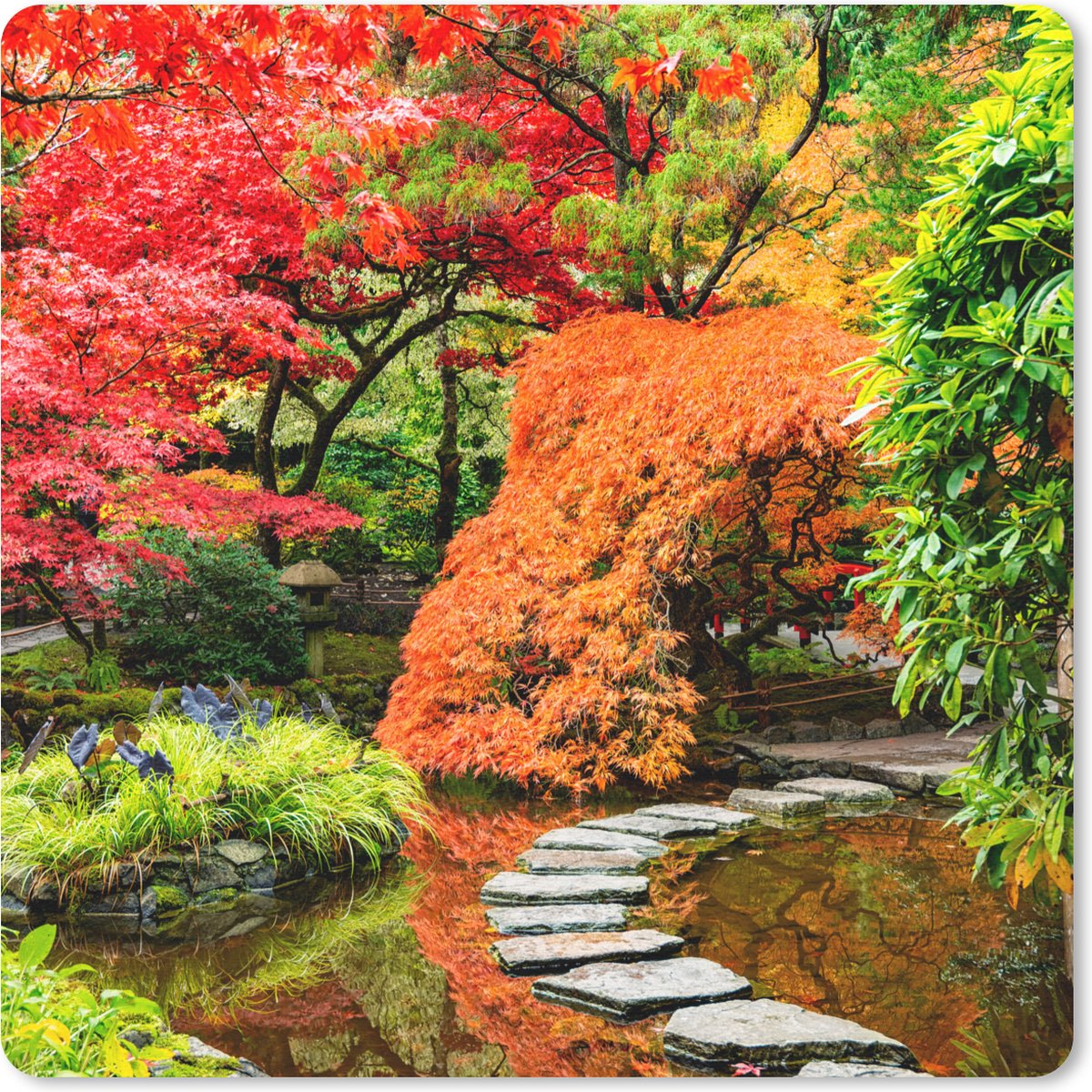 Muismat 20x20 cm - Mousepad Bomen - Japans - Stenen - Pad - Natuur - Muismatten
