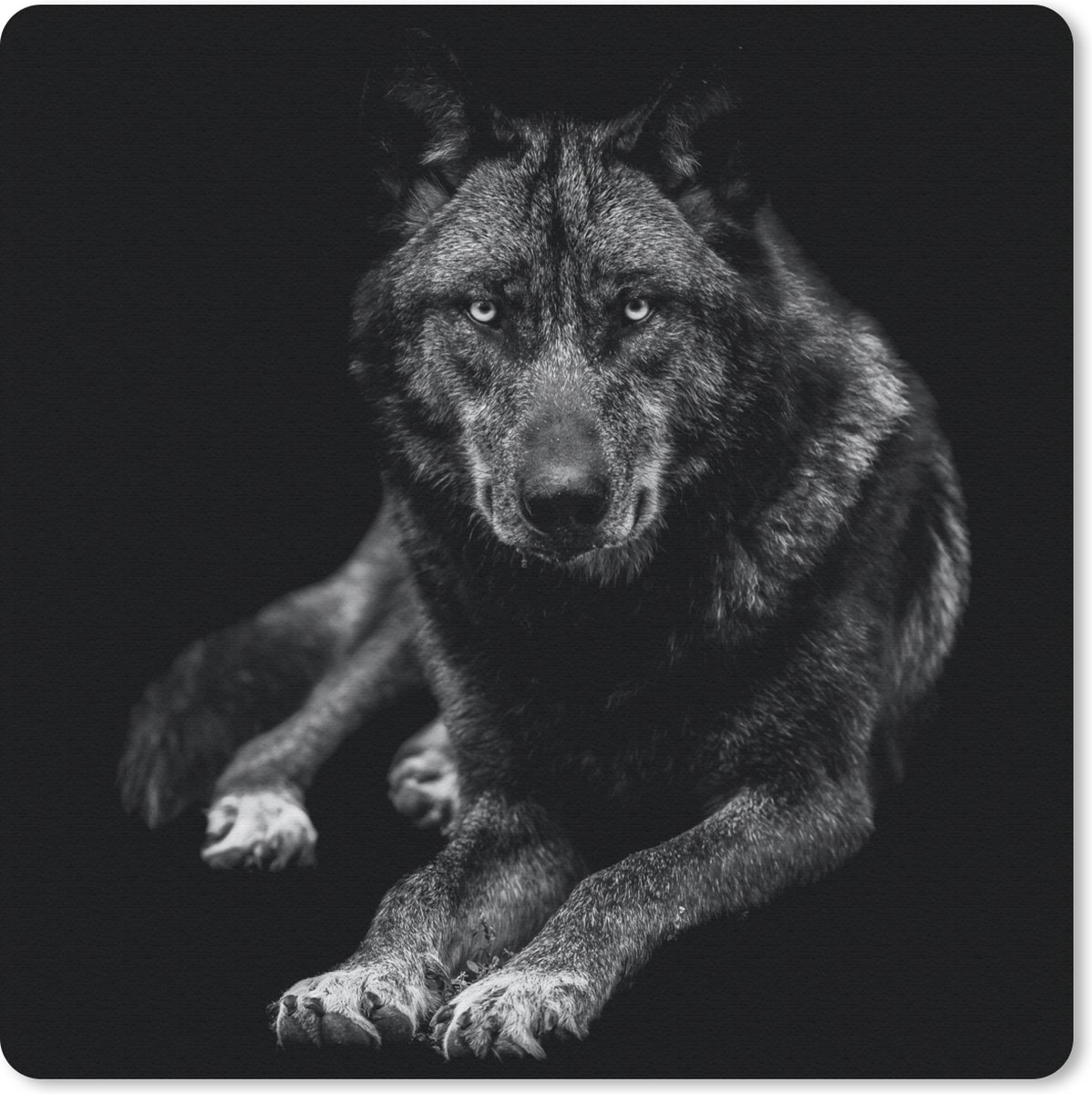 Muismat 30x30 cm - Mousepad Dieren - Wolf - Zwart - Wit - Portret - Muismatten