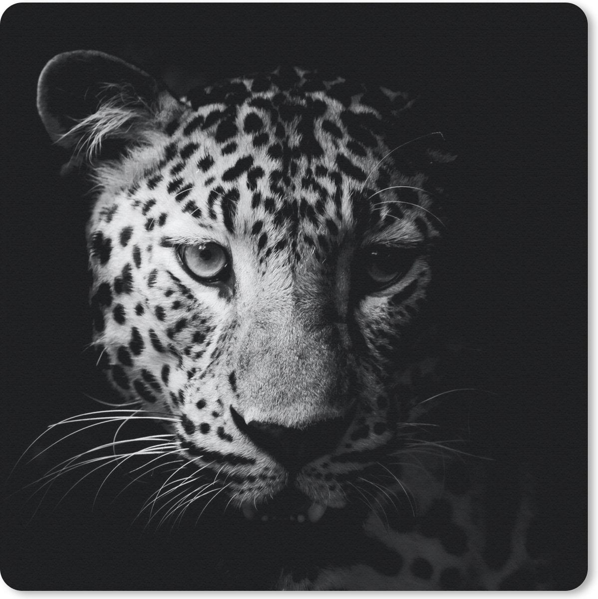 Muismat 30x30 cm - Mousepad Panter - Wilde dieren - Zwart wit - Dieren - Muismatten
