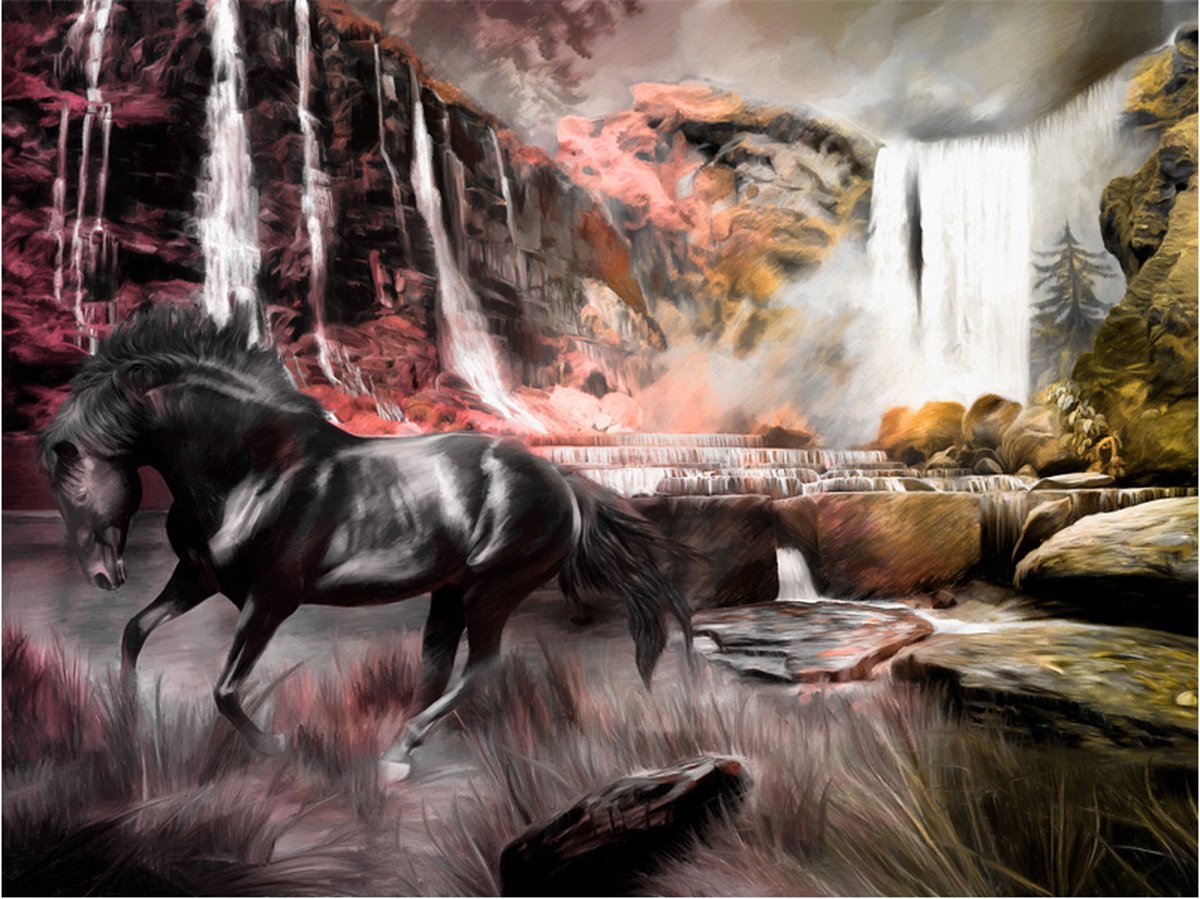 Fotobehang - Zwart paard door een waterval.