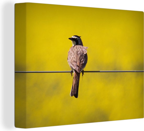 Canvas Schilderij Leeuwerik op IJzerdraad