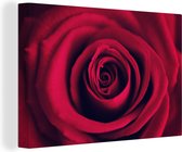 Tableau sur toile Gros plan d'une rose rouge - 120x80 cm - Décoration murale