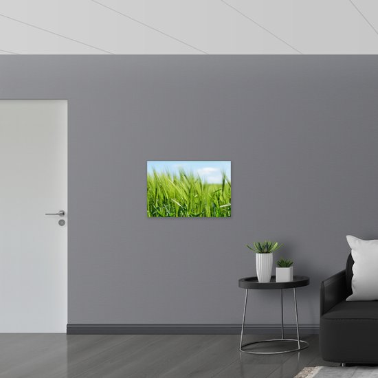 WallClassics - Drapeau - Jeune herbe de blé - Photo sur drapeau polyester 75 x 50 cm
