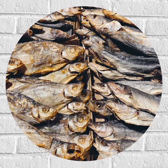 WallClassics - Muursticker Cirkel - Verse Vissen op een Vismarkt - 60x60 cm Foto op Muursticker