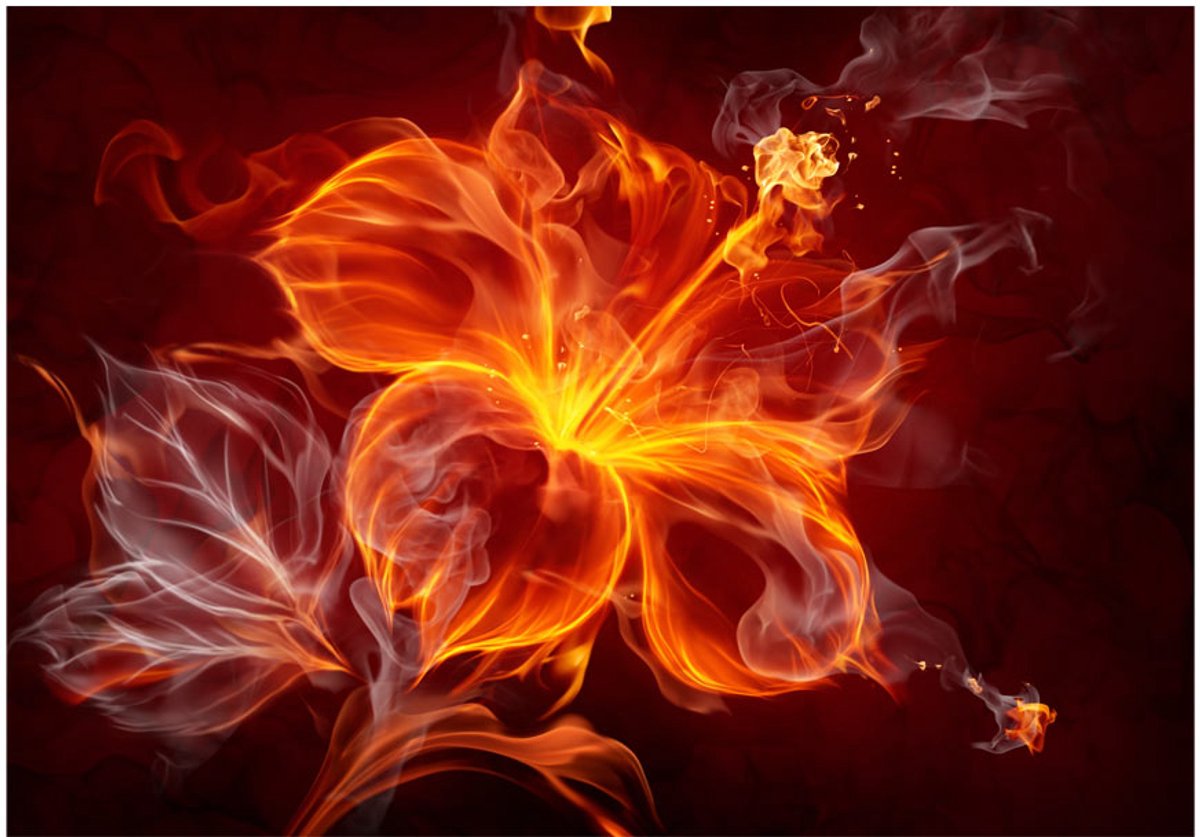 Fotobehang - Fiery flower.