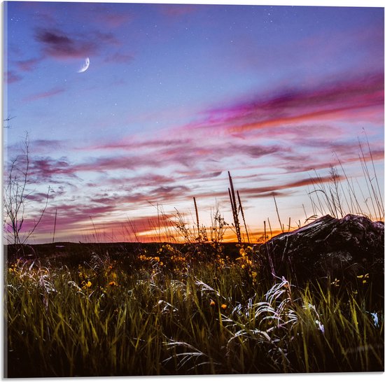 WallClassics - Acrylglas - Roze Wolken in de Lucht - 50x50 cm Foto op Acrylglas (Met Ophangsysteem)