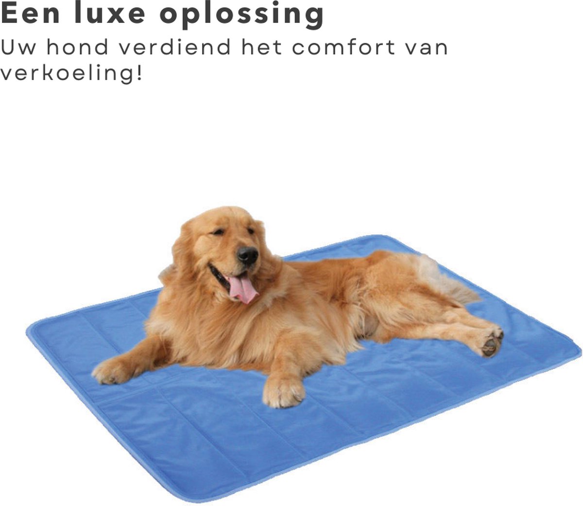koelmat voor CoolCore honden en katten, niet giftig, blauw