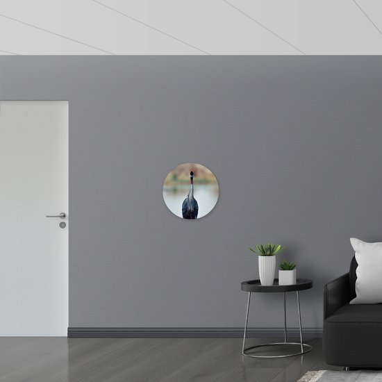 WallClassics - Cercle mural en Dibond - Grue majestueuse dans les herbes vertes au bord de l' Water - Photo 50x50 cm sur cercle mural en aluminium (avec système de suspension)