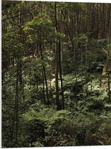 WallClassics - Panneau de mousse PVC - Jungle verte - Photo 60x80 cm sur panneau de mousse PVC