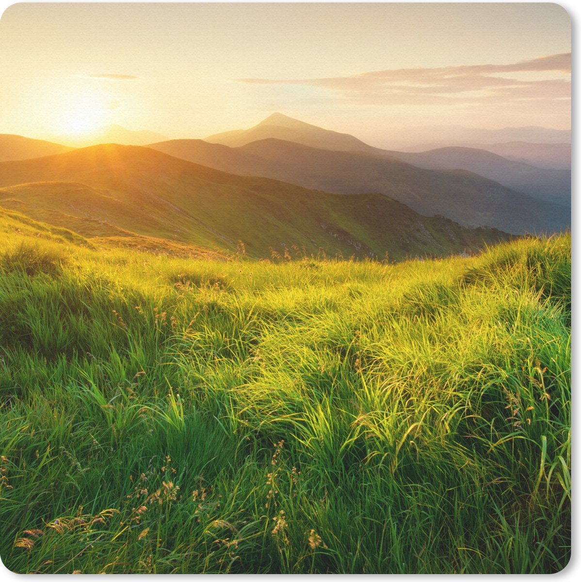 Muismat 30x30 cm - Mousepad Gras - Heuvels - Zon - Natuur - Landschap - Muismatten