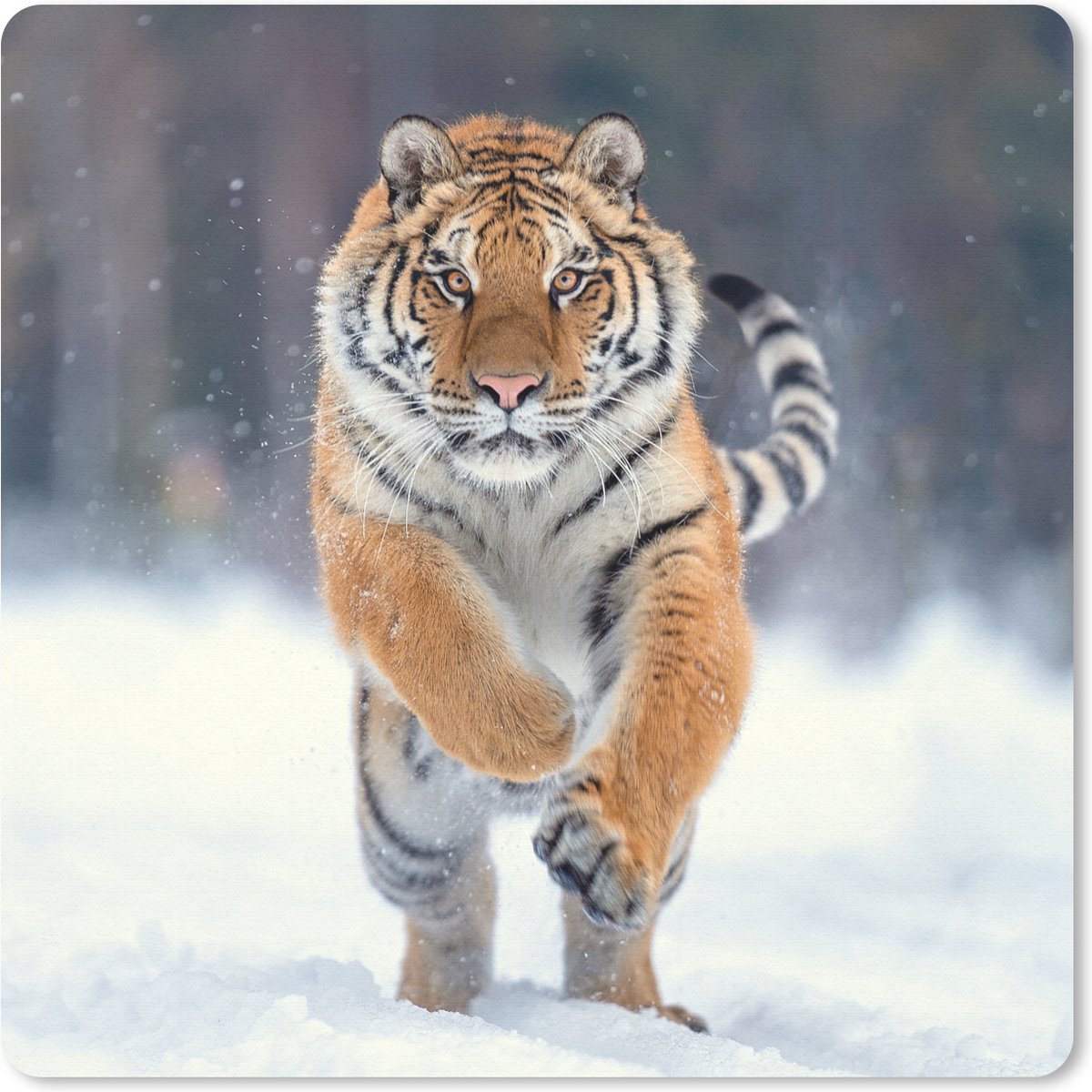 Muismat 20x20 cm - Mousepad Tijger - Landschap - Sneeuw - Winter - Dieren - Muismatten