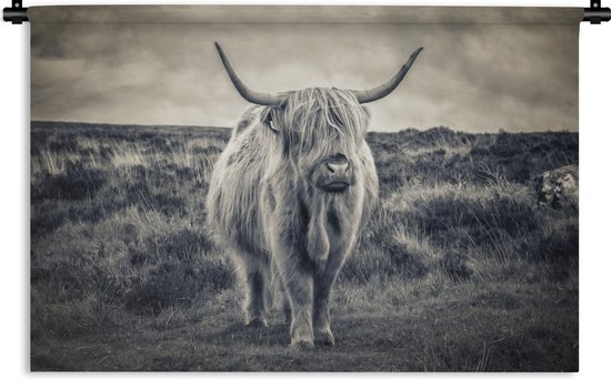 Wandkleed - Wanddoek - Schotse hooglander - Dieren - Wolken - Koe - Natuur - 90x60 cm - Wandtapijt