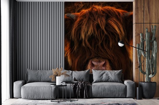 Behang - Fotobehang Schotse Hooglander - Koe - Zwart - Portret - Breedte 195 cm x hoogte 260 cm