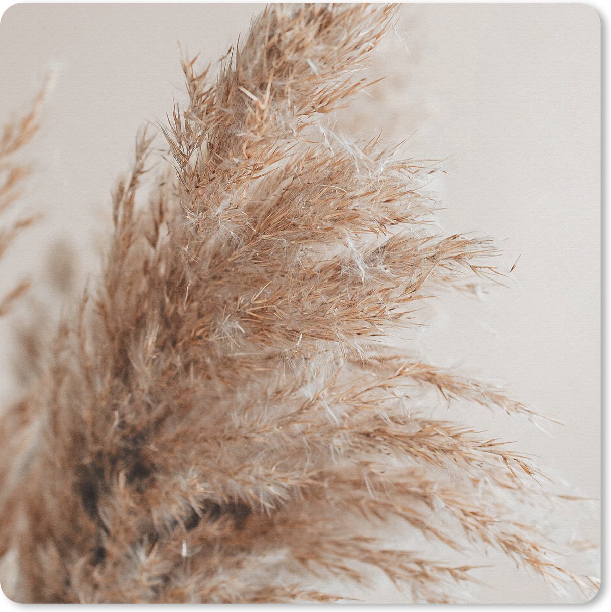 Muismat 30x30 cm - Mousepad Gras - Planten - Natuur - Pampasgras - Muismatten
