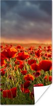 Poster Zonsondergang - Klaprozen - Rood - Bloemen - Veld - Natuur - 60x120 cm