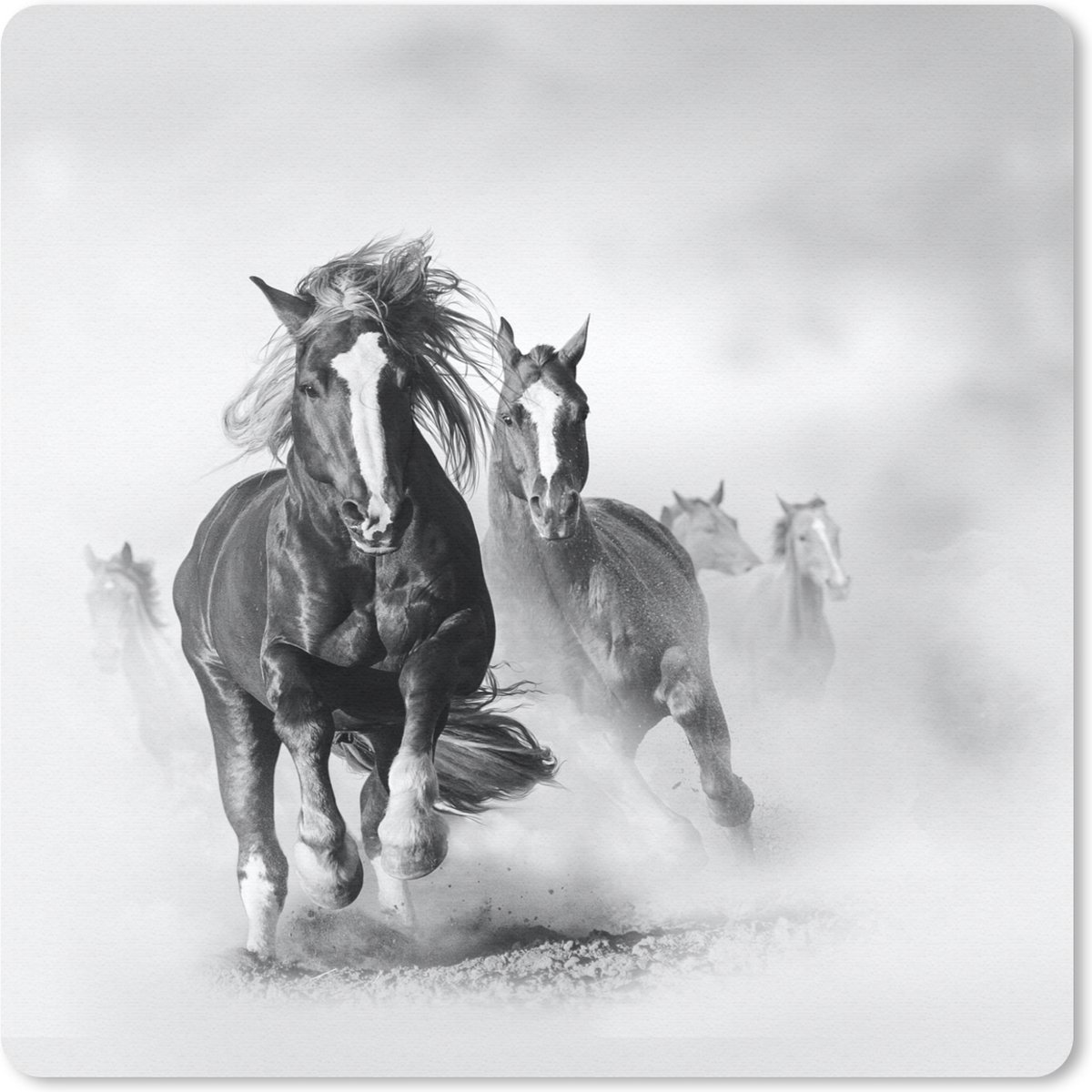 Muismat 30x30 cm - Mousepad Paarden - Dieren - Illustratie - Muismatten