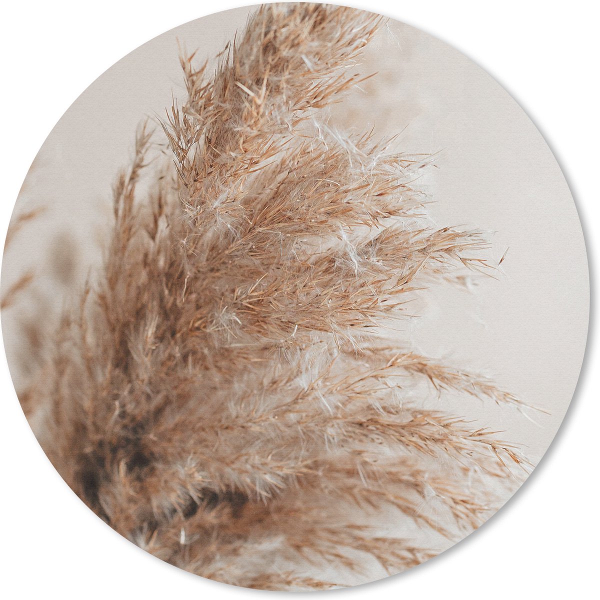 Muismat rond 30x30 cm - Mousepad Gras - Planten - Natuur - Pampasgras - Ronde muismatten