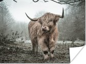 Poster Schotse hooglander - Natuur - Herfst - Dieren - Wild - Bos - 120x90 cm