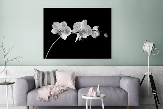 Canvas schilderij 120x90 cm - Wanddecoratie Orchidee - Bloemen - Zwart - Roze - Knoppen - Muurdecoratie woonkamer - Slaapkamer decoratie - Kamer accessoires - Schilderijen op canvas