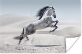 Poster Paard - Dieren - Zand - Natuur - 60x40 cm
