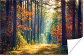 Affiche Forêt - Soleil - Nature - Automne - 30x20 cm - Décorations de Noël - Décoration de Noël pour l'intérieur - Noël