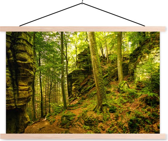 Posterhanger incl. Poster 120x80 cm - Schoolplaat - Bomen - Steen - Bos - Natuur - Planten - Textielposter - Blanke latten
