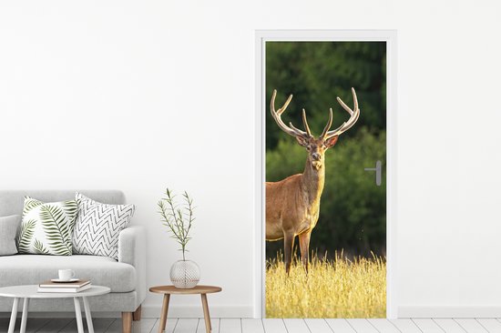 Sticker pour porte Cerf - Bois - Herbe - Nature - Animaux - Vert - 75x205 cm - Affiche de porte