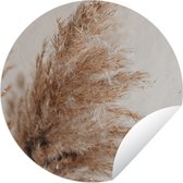 Tuincirkel Gras - Planten - Natuur - Pampasgras - 60x60 cm - Ronde Tuinposter - Buiten