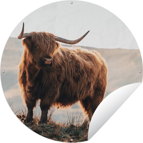 Garden Circle Scottish Highlander - Animaux - Rural - Paysage - Vache - Nature - 150x150 cm - Affiche de Jardin Ronde - Extérieur