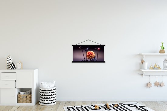 Affiche scolaire - Fleurs - Chrysanthème - Macro - 60x30 cm - Lattes noires