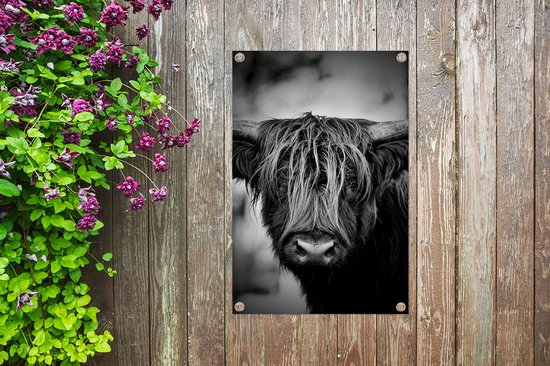 Décoration de jardin Highlander écossais - Lumière - Portrait - Nature - 40x60 cm - Poster jardin - Toile jardin - Poster extérieur