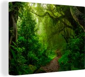 Canvas - Canvas schilderij - Blad - Jungle - Zon - Groen - Muurdecoratie - 40x30 cm