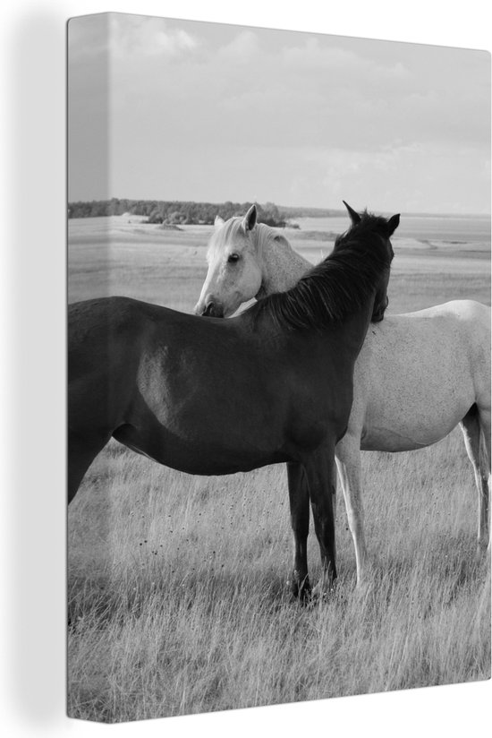 Canvas schilderij - Dieren - Paarden - Gras - Natuur - Woondecoratie - Canvas - 60x80 cm - Foto op canvas - Woonkamer