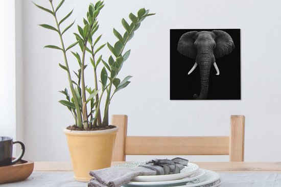 Canvas - Dieren - Olifant - Zwart - Wit - Muurdecoratie - 20x20 cm - Foto op canvas - Canvas schilderijen woonkamer