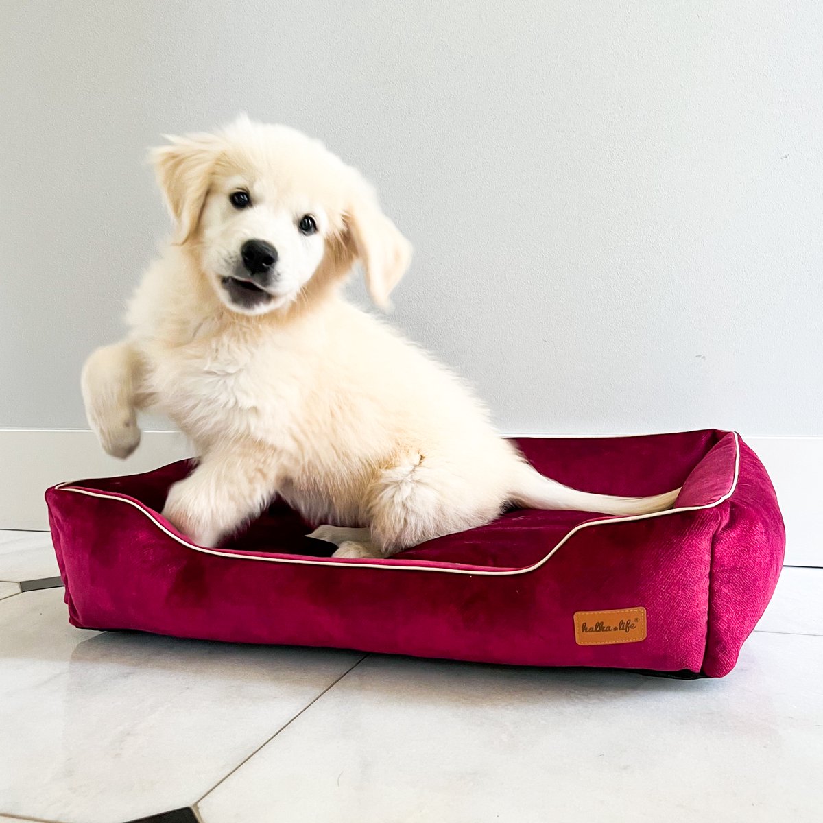 Sofa BOOVEL - Cherry, S
