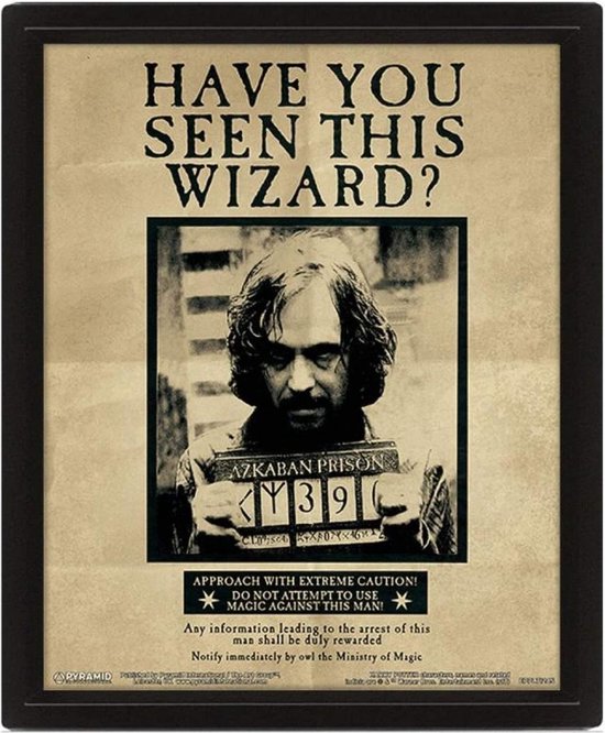 Harry Potter Potter Sirius 3D Lenticular Poster 28,7 x 23,5cm